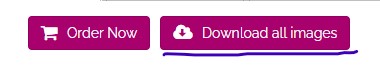 Download All Images.jpg
