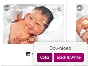 Download Option Selection.jpg
